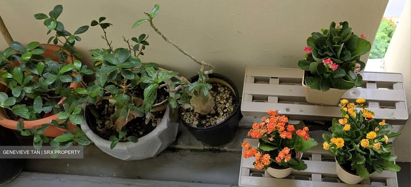 Blk 722 Tampines Starlight (Tampines), HDB 5 Rooms #540813281